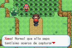 XY4