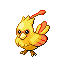Yellow cardinal