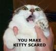 You Make Kitty Scared
