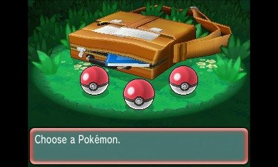 your pokemon selection