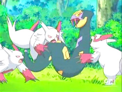 zangoose gets it's buddies to slash the crud out of seviper
