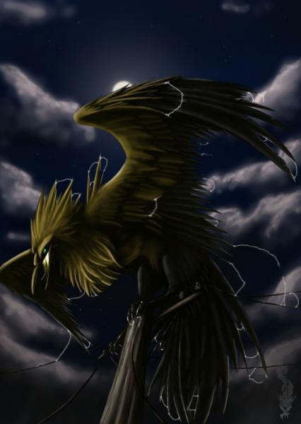 Zapdos (2)