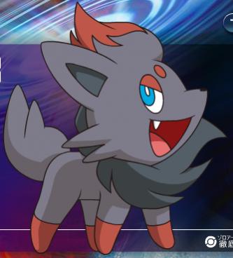 zorua