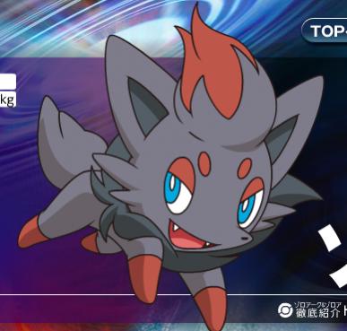 zorua3