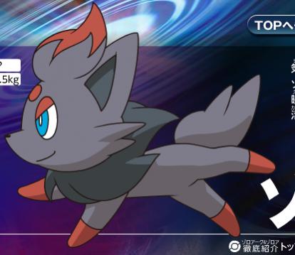 zorua4