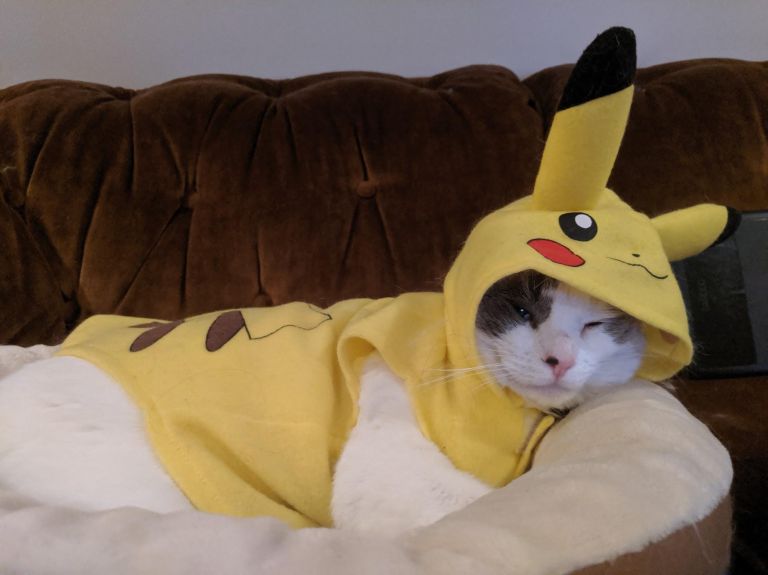 [PokeCommunity.com] halloween costumes