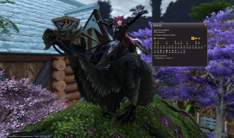 [PokeCommunity.com] Cherrim Tries to Talk About Games Other Than Final Fantasy XIV