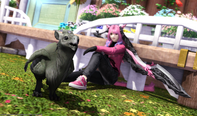 [PokeCommunity.com] Cherrim Tries to Talk About Games Other Than Final Fantasy XIV