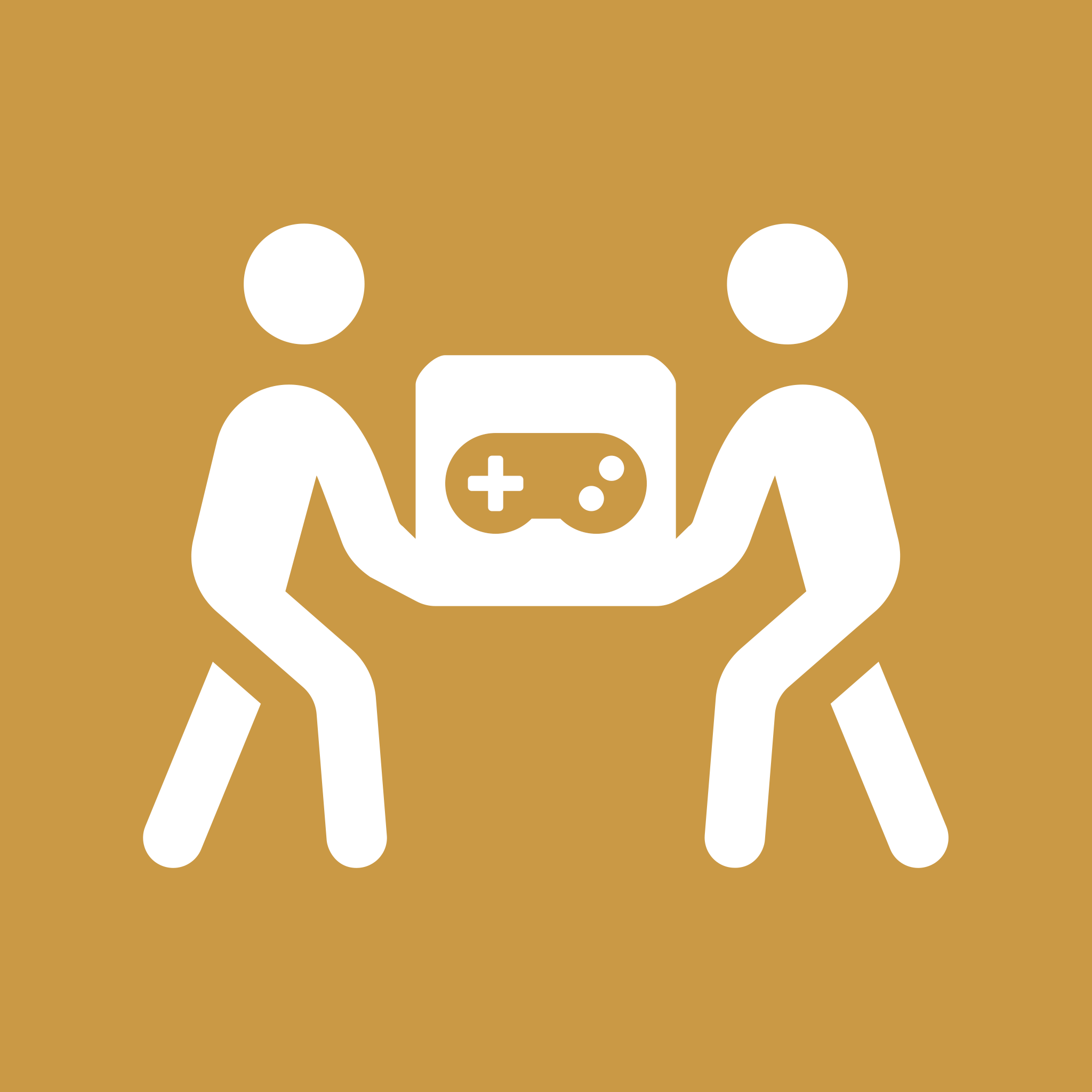 Forum icon for Fan Game Hub